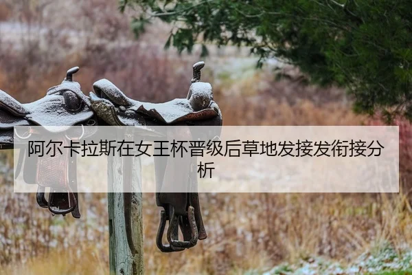 a-er-ka-la-si-zai-nv-wang-bei-jin-ji-hou-cao-di-fa-jie-fa-xian-jie-fen-xi-2-417.jpg
