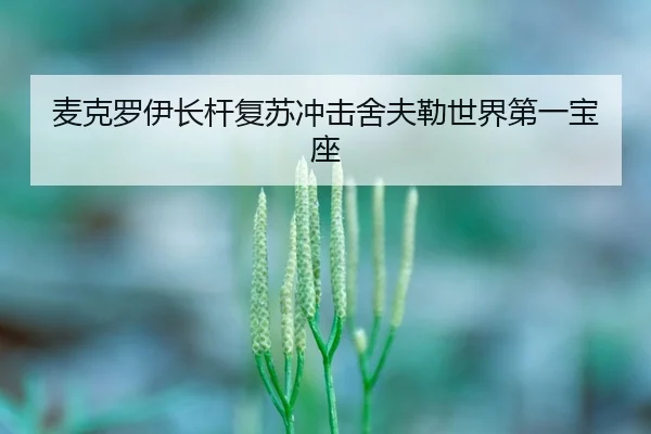 mai-ke-luo-yi-zhang-gan-fu-su-chong-ji-she-fu-lei-shi-jie-di-yi-bao-zuo-3-310.jpg