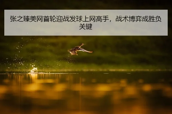 zhang-zhi-zhen-mei-wang-shou-lun-ying-zhan-fa-qiu-shang-wang-gao-shou-zhan-shu-bo-yi-cheng-sheng-fu-guan-jian-2-736.jpg